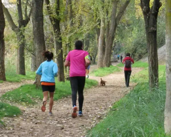 Personas corriendo por un sendero arbolado, disfrutando del senderismo en Alcalá de Henares. Un perro les acompaña.
