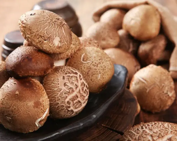 Kupa świeżych grzybów shiitake na czarnej desce, niektóre w worku jutowym.