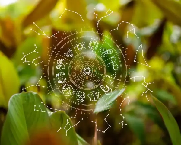 Koło zodiaku i konstelacje na tle zieleni. Symbolika 11. domu astrologii w naturze.