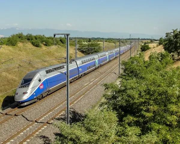 Niebiesko-srebrny pociąg dużych prędkości TGV na torach kolejowych, otoczony zielenią i słupami trakcyjnymi.