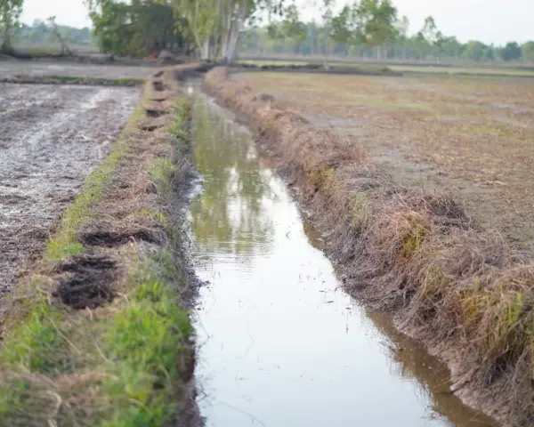 Canale di irrigazione in un campo argilloso, utile per capire come trovare acqua in un terreno argilloso.