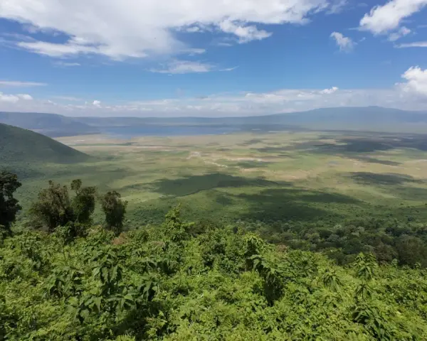 Rozległy widok na krater Ngorongoro z bujną zielenią na pierwszym planie i jeziorem w oddali.