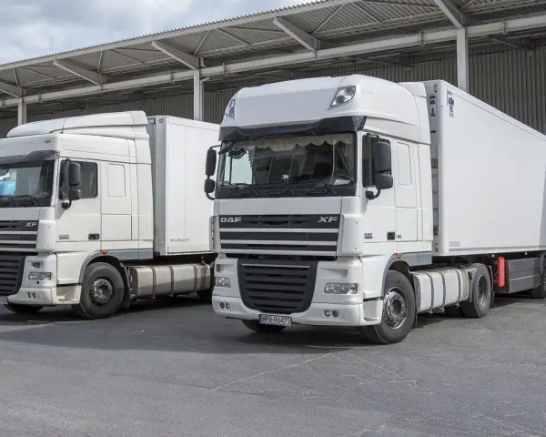 Dwa białe ciągniki siodłowe DAF XF, gotowe do trasy. Posiadanie prawa jazdy kat C+E otwiera drogę do takich pojazdów.