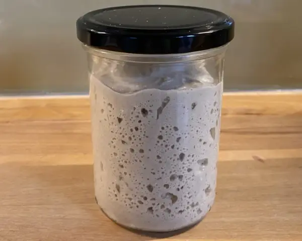 Ein Glas mit Sauerteig, dessen Konsistenz durch viele kleine Bläschen und eine luftige Struktur gekennzeichnet ist.