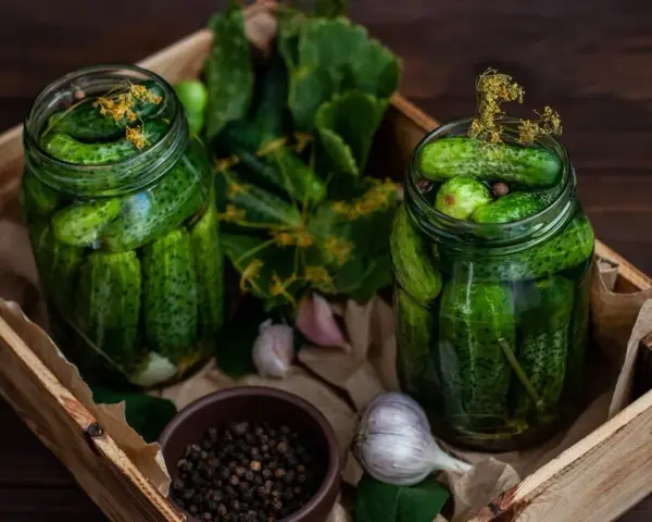 Jak przechować koper do kiszenia ogórków, by zachować jego aromat?