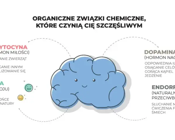 Dopamina sprawia, że czujemy nagrodę. Obrazek przedstawia mózg i hormony szczęścia: oksytocynę, serotoninę, dopaminę i endorfiny.