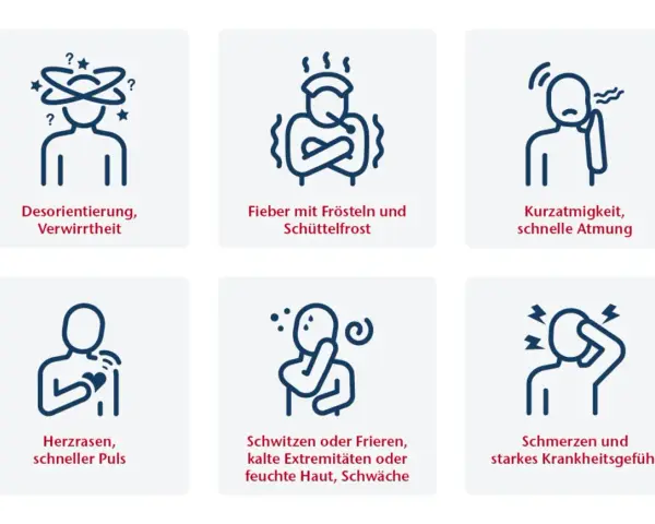 Sechs Icons zeigen häufige Sepsis Symptome: Verwirrtheit, Fieber, Kurzatmigkeit, Herzrasen, Schweißausbrüche/Frieren und Schmerzen.