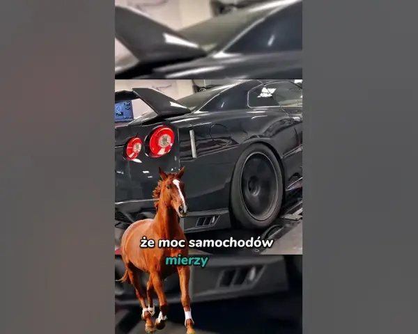Ile koni mechanicznych ma Lamborghini? Zaskakujące różnice między modelami