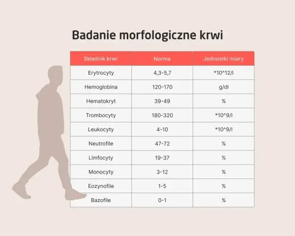 Tabela z badaniem morfologia krwi: składniki, normy i jednostki miary. Obok sylwetka człowieka.