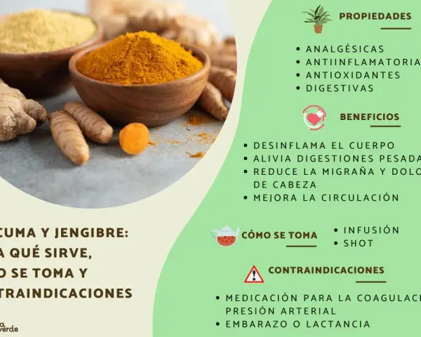 Jengibre y cúrcuma en polvo y raíces. Se detallan propiedades, beneficios y contraindicaciones del jengibre, como su uso en medicación para coagulación o presión arterial.