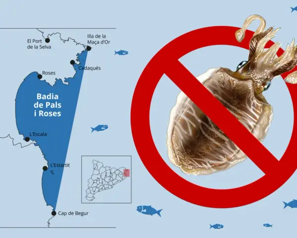 Prohibida la pesca de la sepia en la Badia de Pals i Roses. Mapa de la costa catalana con señal de prohibido sobre una sepia.