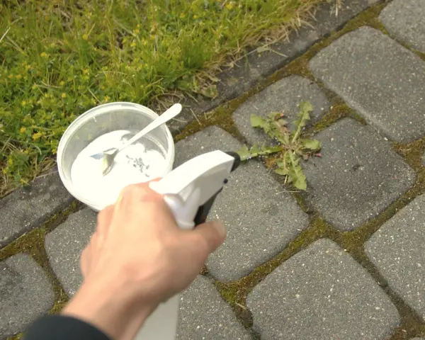 Ręka trzymająca spryskiwacz, przygotowuje się do zastosowania domowego środka na chwasty: ocet i sól.