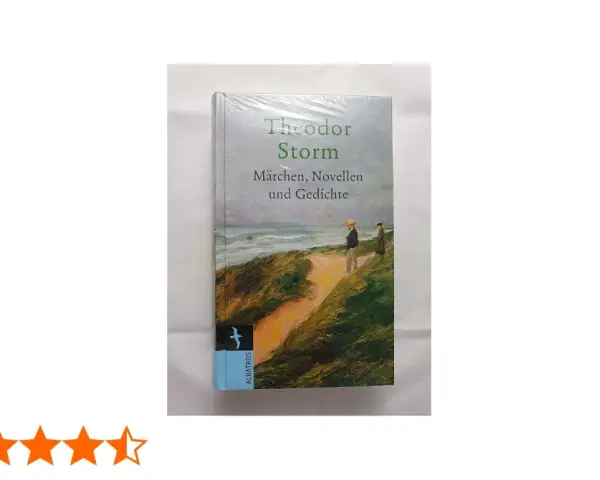 Buchcover von Theodor Storms "Märchen, Novellen und Gedichte" mit Küstenlandschaft und zwei Figuren.