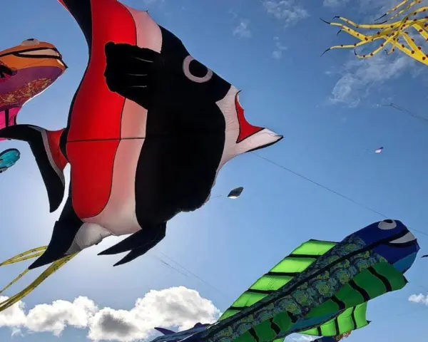 Bunte Drachen in Fischform tanzen am Himmel beim Fehmarn Drachenfest. Ein großer roter und schwarzer Fischdominiert, daneben ein grüner Fisch und ein gelber Tintenfisch.