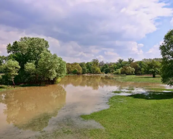 Jak sprawdzić tereny zalewowe i uniknąć ryzyka zalania działki