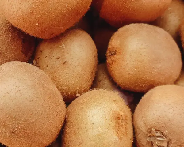 Kaloryczność kiwi: 46 kcal! Odchudzanie, odporność, lepszy sen.