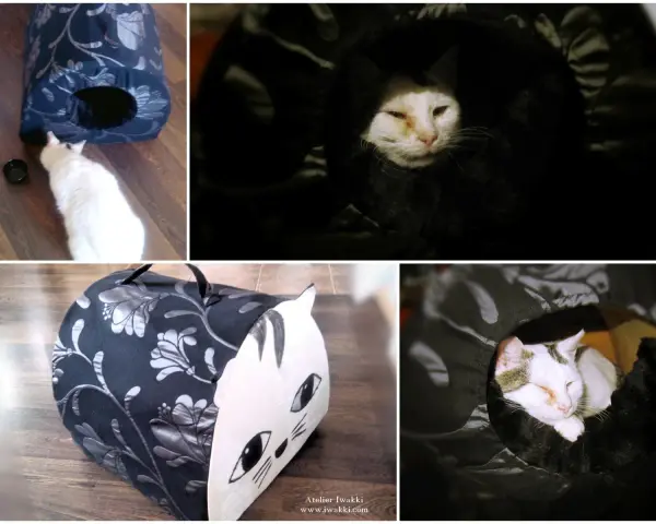 Jak zbudować domek dla kota? DIY: ciepły azyl krok po kroku