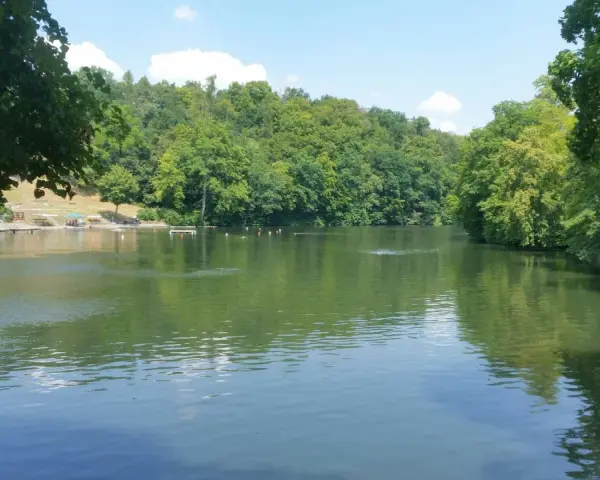 Ein sonniger Tag am Badesee Pforzheim. Grüne Bäume säumen das Ufer, während einige Schwimmer im Wasser ihre Bahnen ziehen.