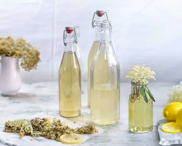 Flaschen mit hellem Holunderblütensirup, bereit zum Holunderschnaps ansetzen. Getrocknete Blüten, Zitronenscheiben und frische Blüten zieren die Szene.