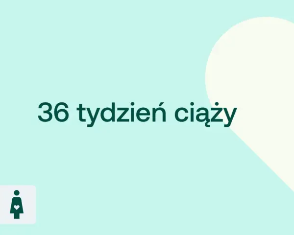 36 tydzień ciąży. Dziecko rośnie, a jego waga jest już znacząca. Ikony D+ i kobiety w ciąży.
