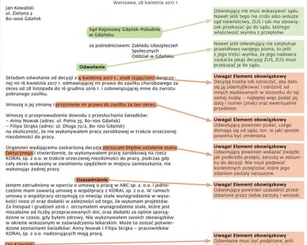 Orzeczenie ZUS: Co dalej? Twój przewodnik po odwołaniu i prawach