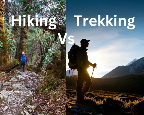Hiking in a forest vs. trekking in mountains. The image illustrates what is the difference between hiking and trekking.