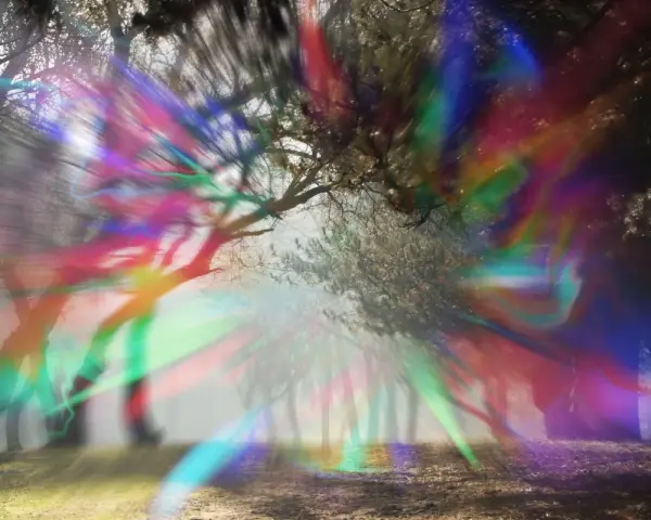 Un bosco nebbioso con alberi stilizzati, illuminato da un'esplosione di colori vibranti che sembrano un'aura occhi.
