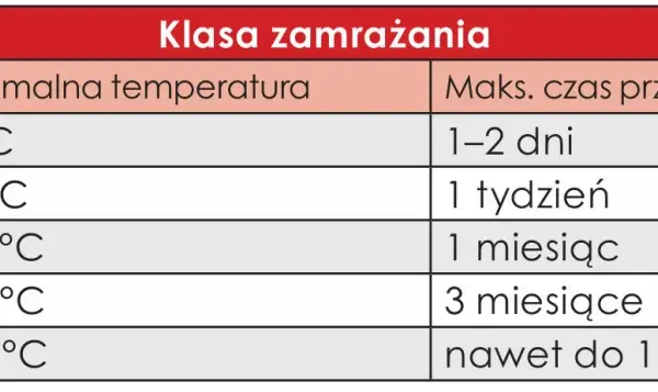 Ile stopni ma zamrażarka? Optymalna temp. (-18°C) i oszczędność!