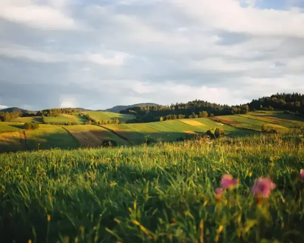 Zielone wzgórza, pola i lasy w słońcu. Idealne miejsce, by zastanowić się, gdzie najbliżej w góry z łodzi.
