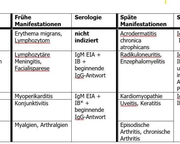 Borrelien Blutuntersuchung: Wichtige Informationen zur Diagnose von Lyme-Borreliose