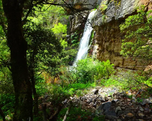 Cascada en la sierra de Ayllón, rodeada de vegetación frondosa y rocas. El agua cae por un acantilado rocoso, creando un paisaje natural impresionante.
