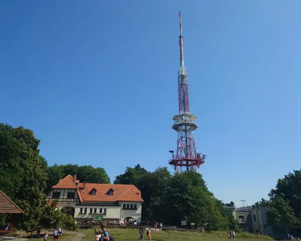 Wieża widokowa na górze Ślęża góruje nad budynkiem schroniska i zielonymi drzewami.