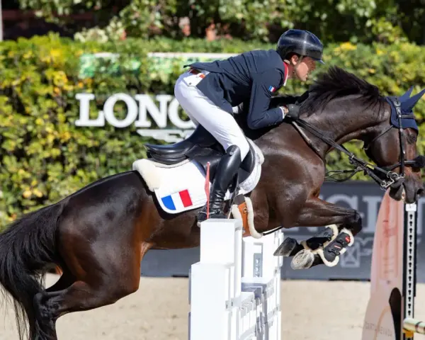 Cavalier français en plein saut lors d'un concours hippique. Le cheval, puissant et concentré, franchit un obstacle blanc.