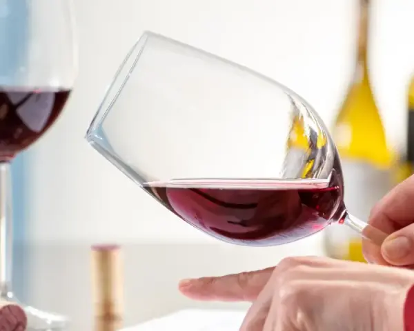 Degustazione di vino rosso. Un enologo esperto valuta il colore e la limpidezza, pronto per nuove sfide. Cerco lavoro enologo.