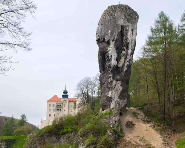 Imponujący skalny grzyb obok zamku na Jurze Krakowsko-Częstochowskiej.