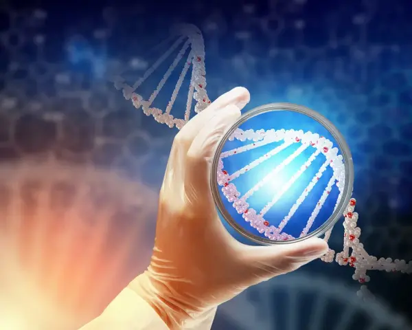 Rękawiczka laboratoryjna trzyma szalkę Petriego z fragmentem DNA. To może być etap diagnostyki prenatalnej, jak kordocenteza.