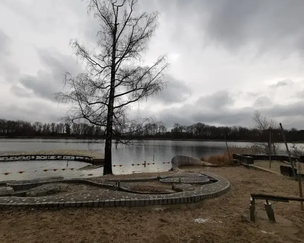Ein kahler Baum am Ufer des Baggersees Grenis. Eine Holzplattform ragt ins Wasser, das von einer Bojenkette begrenzt wird. Sandiger Strand mit steinernen Sitzgelegenheiten.