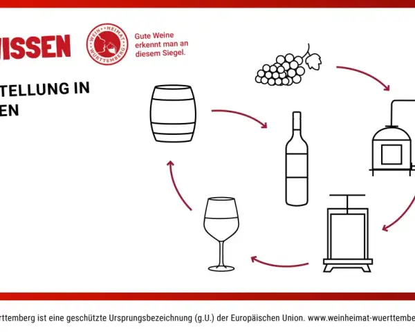 Illustration zeigt die **Weinherstellung Schritte**: Trauben, Presse, Flasche, Fass und Tanks.