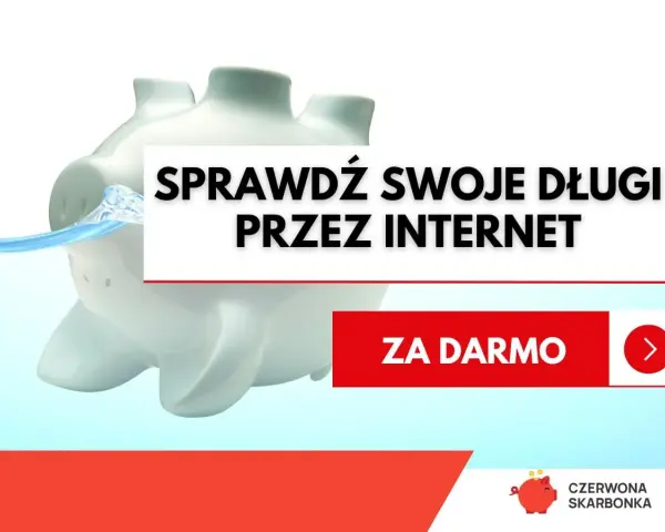 Świnka skarbonka tonie w wodzie. Napis: "Sprawdź swoje długi przez internet". Dowiedz się, jak sprawdzić czy ktoś ma komornika.