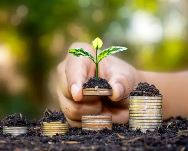 Una mano sostiene una planta joven brotando de monedas apiladas, simbolizando el crecimiento y la inversión en hostelería sostenible.
