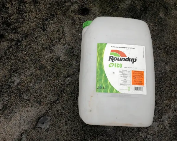En stor vit dunk med etikett för Roundup ECO, ett glyfosatbaserat ogräsmedel.