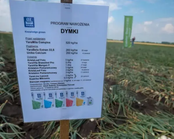 Jakie nawozy pod cebule dymke zapewnią zdrowy wzrost i plony?