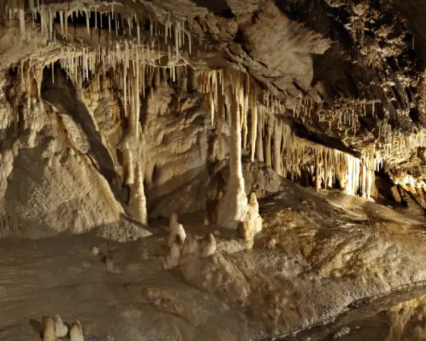 Niezwykłe formacje naciekowe w jaskiniach Dolny Śląsk, stalaktyty i stalagmity tworzą podziemny świat.