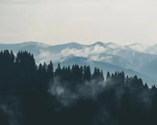 Mgliste góry sowie, zalesione zbocza i doliny, tworzą malowniczy krajobraz.