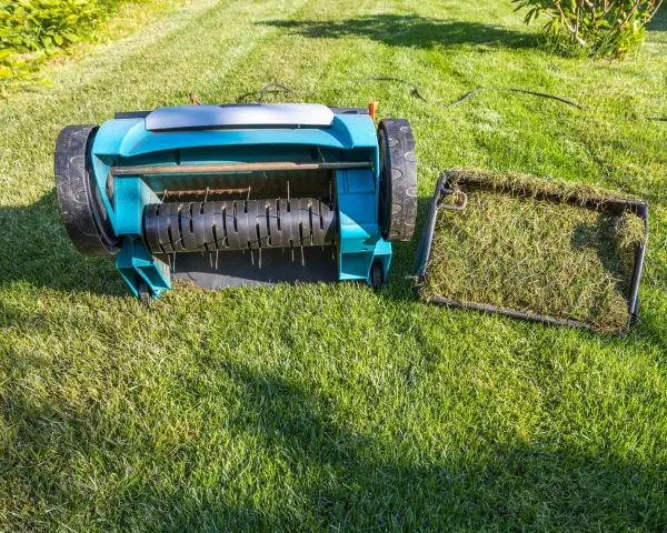 Rasenpflege: Vertikutierer mit Fangkorb voller Moos und Gras. Ob vor oder nach dem **rasen kalken**, das Gerät ist bereit.
