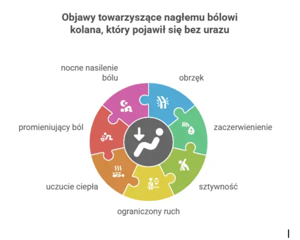 Koło objawów nagłego bólu kolana: obrzęk, zaczerwienienie, sztywność, ograniczony ruch, uczucie ciepła, promieniujący ból, nocne nasilenie bólu.