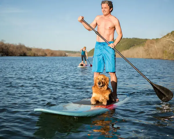 Mann mit sup hund krallen auf dem See. Ein Mann und sein Hund genießen das Stand-Up-Paddling.