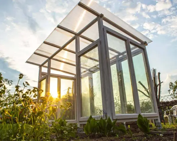 Ein selbstgebautes Tomatenhaus aus Holz und Glas, das im Abendlicht erstrahlt. Perfekt für den Anbau von Tomaten.