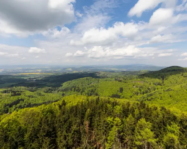 Widok z góry na zielone lasy i pola, idealny na kłodzka góra trasa.