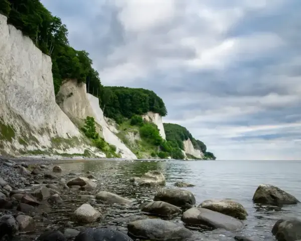 Majestatyczne, białe klify Rugii wznoszą się nad kamienistą plażą i spokojnym morzem. Zielone drzewa porastają szczyty, a chmury tworzą dramatyczne tło.